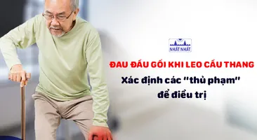Đau đầu gối khi leo cầu thang: xác định các “thủ phạm” để điều trị
