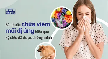 Bài thuốc chữa viêm mũi dị ứng hiệu quả kỳ diệu đã được chứng minh