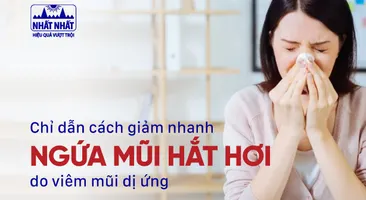 Chỉ dẫn cách giảm nhanh ngứa mũi hắt hơi do viêm mũi dị ứng 