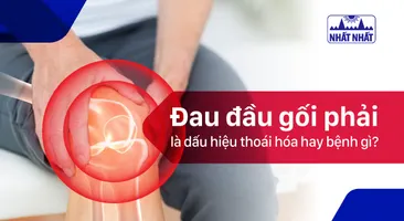 Đau đầu gối phải – là dấu hiệu thoái hóa hay bệnh gì?