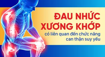 Đau nhức xương khớp có liên quan đến chức năng can thận suy yếu