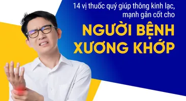 14 vị thuốc quý giúp thông kinh lạc, mạnh gân cốt cho bệnh xương khớp
