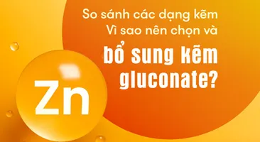 So sánh các dạng kẽm – Vì sao nên chọn và bổ sung kẽm gluconate?
