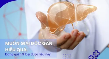 Muốn giải độc gan hiệu quả: Đừng quên 9 dược liệu này