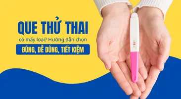 Que thử thai có mấy loại? Hướng dẫn chọn đúng, dễ dùng, tiết kiệm