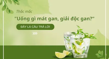 Thắc mắc “uống gì mát gan, giải độc gan?” – Đây là câu trả lời