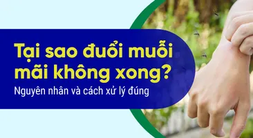 Tại sao đuổi muỗi mãi không xong? Nguyên nhân và cách xử lý đúng
