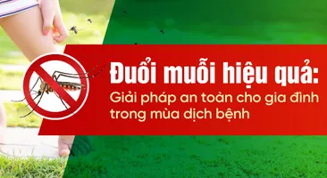 Đuổi muỗi hiệu quả: Giải pháp an toàn cho gia đình trong mùa dịch bệnh