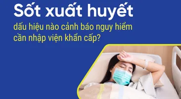 Sốt xuất huyết dấu hiệu nào cảnh báo nguy hiểm cần nhập viện khẩn cấp