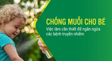 Chống muỗi cho bé: Việc làm cần thiết để ngăn ngừa bệnh truyền nhiễm