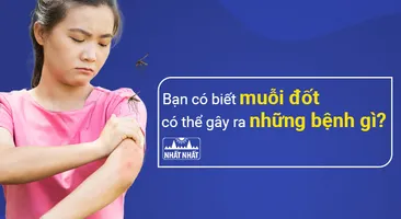 Bạn có biết muỗi đốt có thể gây ra những bệnh gì ?