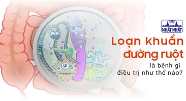Loạn khuẩn đường ruột là bệnh gì, điều trị như thế nào?