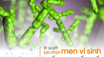 Bí quyết lựa chọn men vi sinh chất lượng tốt