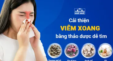 Cải thiện viêm xoang tại nhà bằng thảo dược dễ tìm