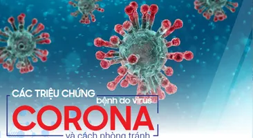 Các triệu chứng bệnh do virus corona và cách phòng tránh
