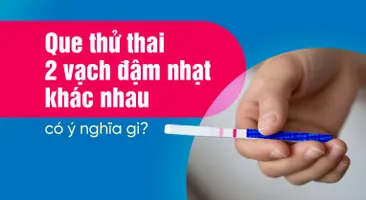 Que thử thai 2 vạch đậm nhạt khác nhau có ý nghĩa gì?