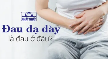Đau dạ dày là đau ở đâu? Những vị trí cảnh báo nguy hiểm cận kề!