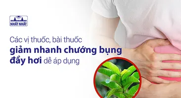 Các vị thuốc, bài thuốc giảm nhanh chướng bụng đầy hơi dễ áp dụng
