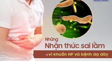 Những nhận thức sai lầm về vi khuẩn HP và bệnh dạ dày