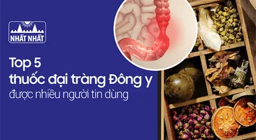 Top 5 thuốc đại tràng Đông y được nhiều người tin dùng