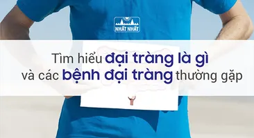 Tìm hiểu đại tràng là gì và các bệnh đại tràng thường gặp