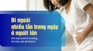 Đi ngoài nhiều lần trong ngày ở người lớn – Khi nào là bình thường, khi nào cần đi khám?