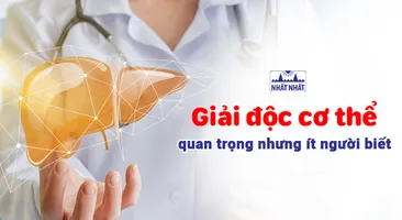 Giải độc cơ thể: điều quan trọng nhưng ít người biết cách