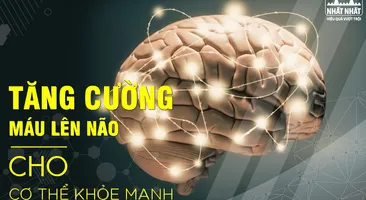 Tăng cường máu lên não cho cơ thể khỏe mạnh