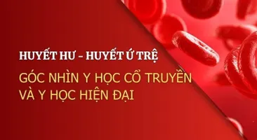 Huyết hư, huyết ứ trệ: Góc nhìn y học cổ truyền và y học hiện đại