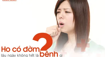 Ho có đờm lâu ngày không hết là bệnh gì?