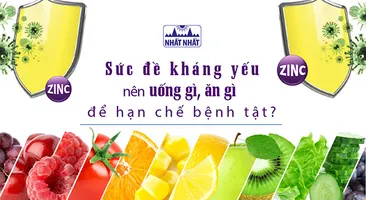 Sức đề kháng yếu nên uống gì, ăn gì để hạn chế bệnh tật?