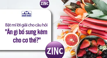 Bật mí lời giải cho câu hỏi “Ăn gì bổ sung kẽm cho cơ thể?”