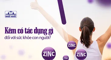 Kẽm có tác dụng gì đối với sức khỏe con người?