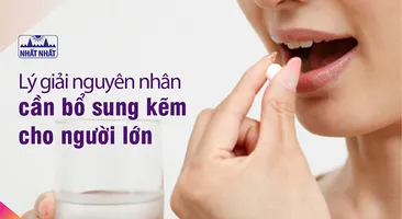 Lý giải nguyên nhân cần bổ sung kẽm cho người lớn