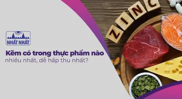 Kẽm có trong thực phẩm nào nhiều nhất, dễ hấp thu nhất?