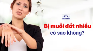 Lời giải cho câu hỏi: Bị muỗi đốt nhiều có sao không? 