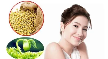 Mầm đậu nành có tác dụng gì? Lưu ngay 8 công dụng quý