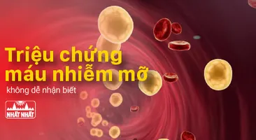 Xác định các triệu chứng bệnh máu nhiễm mỡ để điều trị chính xác