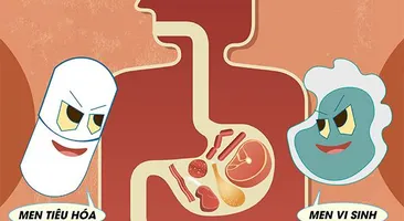 Cách sử dụng men vi sinh và men tiêu hóa đúng nhất, không phải ai cũng biết!