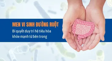 Men vi sinh đường ruột – Bí quyết duy trì hệ tiêu hóa khỏe mạnh
