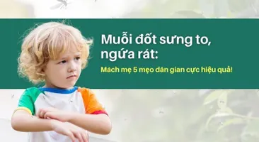 Muỗi đốt sưng to, ngứa rát: Mách mẹ 5 mẹo dân gian cực hiệu quả!