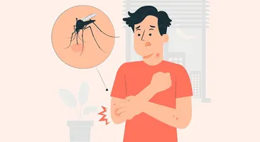 Áp dụng ngay 11 cách phòng chống muỗi đốt hiệu quả