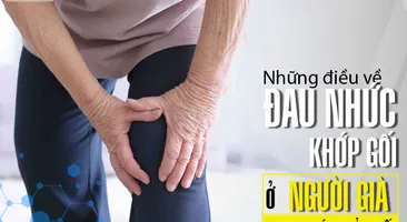 Những điều về bệnh đau nhức khớp gối ở người già mà con cái phải biết 