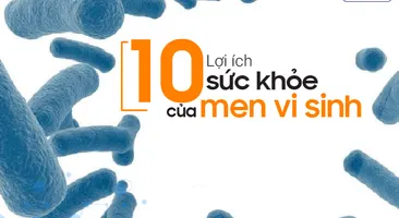 10 Lợi ích sức khỏe khó tin của men vi sinh