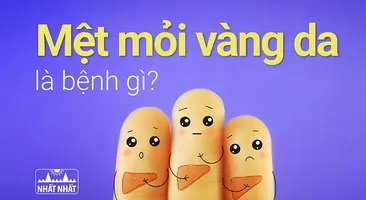Mệt mỏi vàng da là bệnh gì, chữa thế nào?