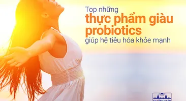 Top những thực phẩm giàu probiotics giúp hệ tiêu hóa khỏe mạnh