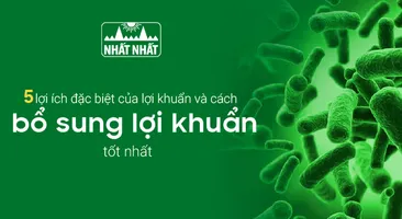 5 lợi ích đặc biệt của lợi khuẩn với sức khỏe và cách bổ sung lợi khuẩn tốt nhất
