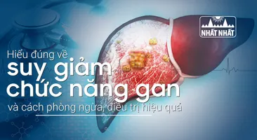Hiểu đúng về suy giảm chức năng gan và cách phòng ngừa, điều trị hiệu quả