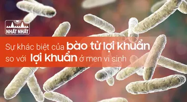 Sự khác biệt của bào tử lợi khuẩn so với lợi khuẩn ở men vi sinh
