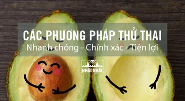 Các phương pháp thử thai nhanh chóng – chính xác – tiện lợi